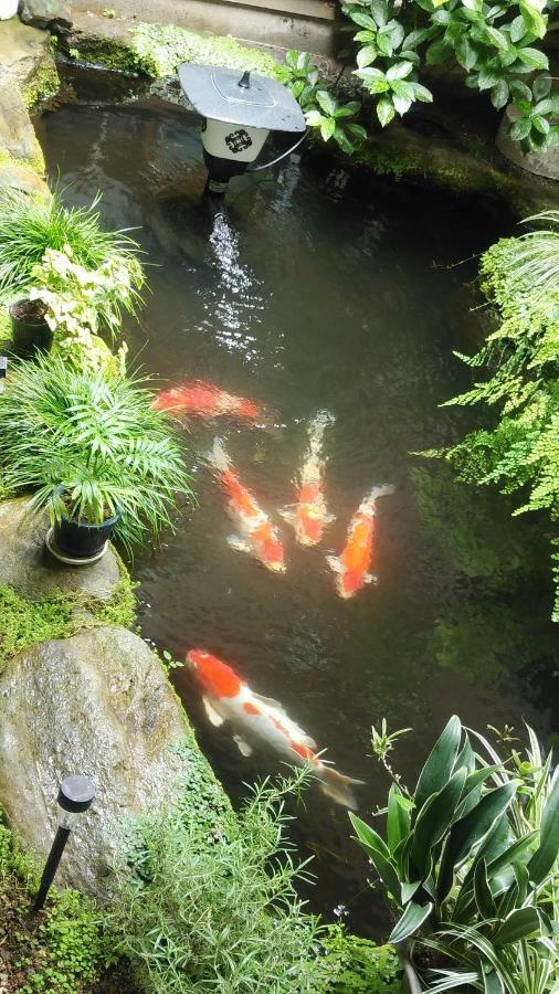 Walking Pilgrimage Hotel Tokiwa Ryokan Ozu  ภายนอก รูปภาพ
